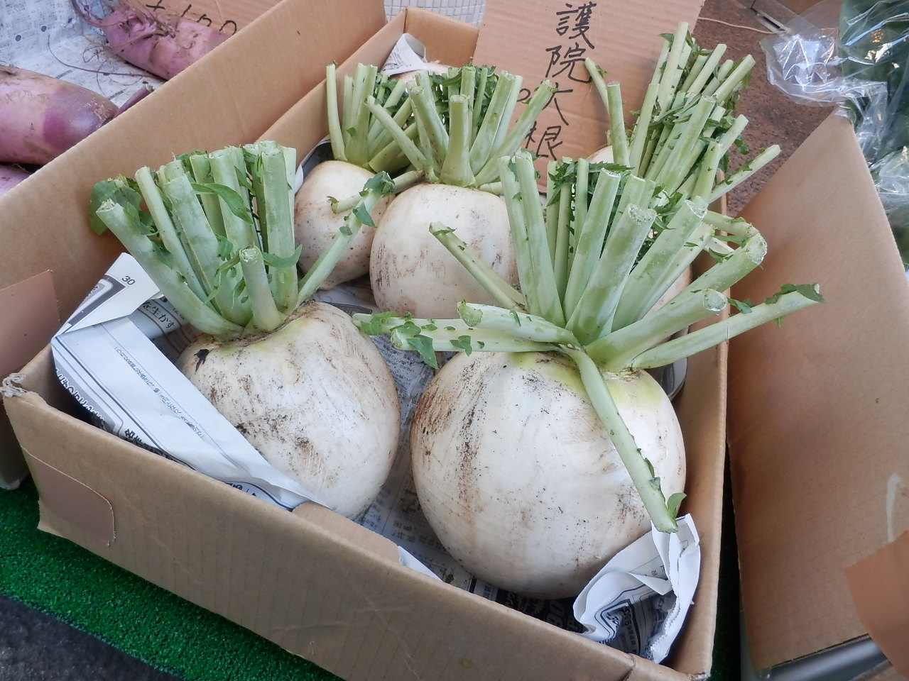 http://morning.tokyo-review.com/image/PB142289.JPG