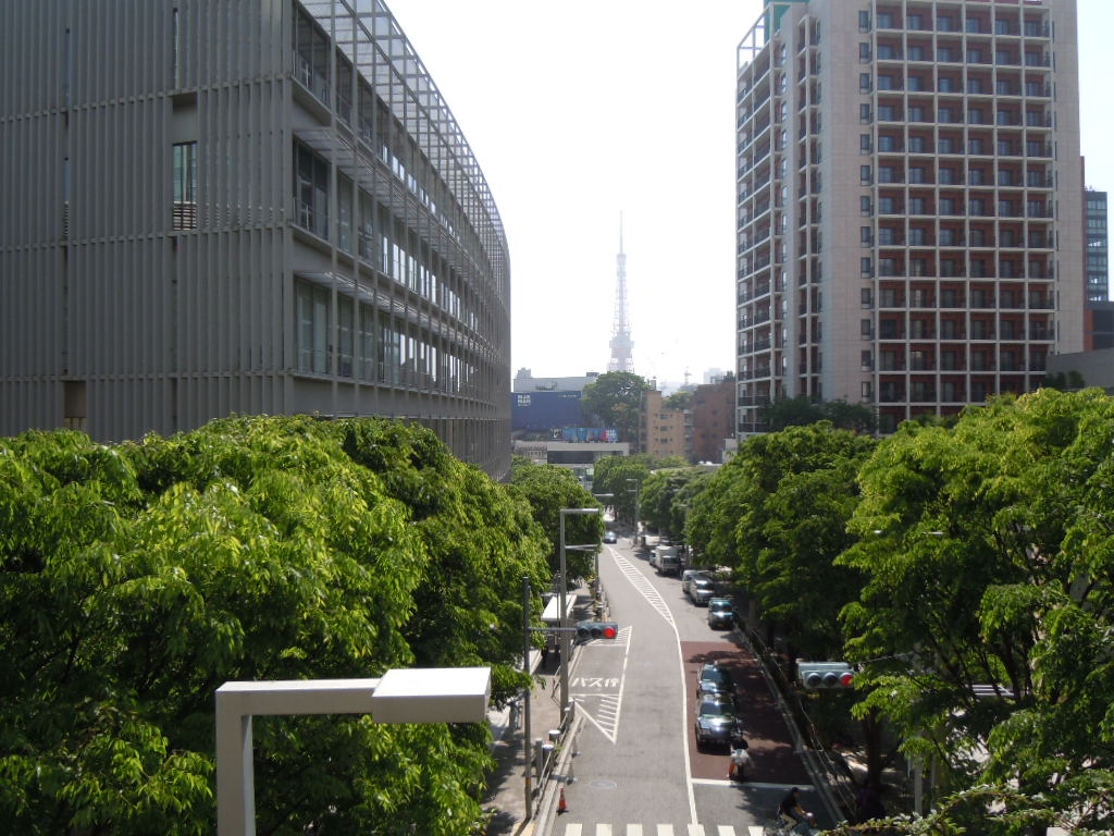 http://morning.tokyo-review.com/image3/DSCN2007.JPG