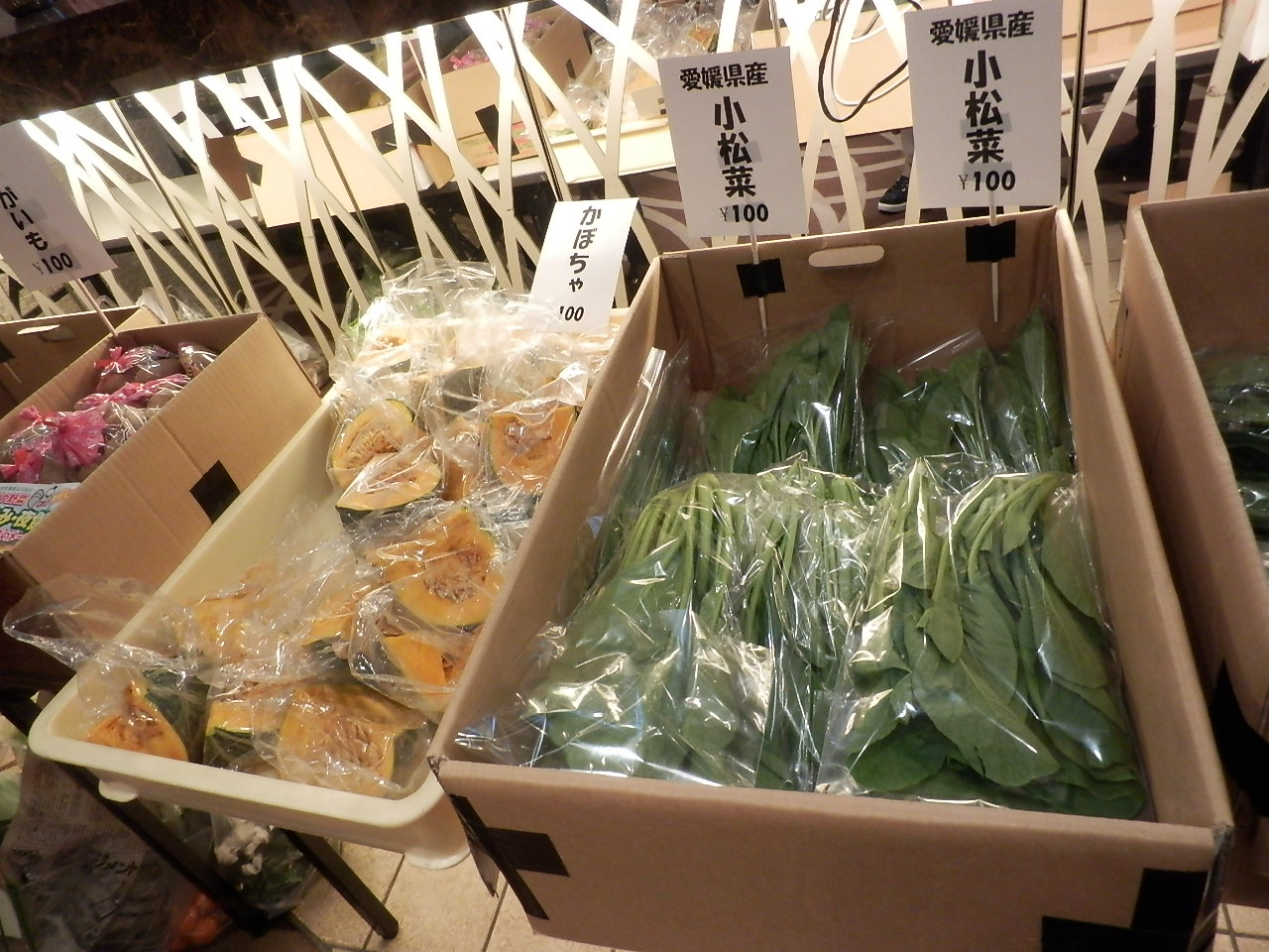 http://morning.tokyo-review.com/image4/PC190057.JPG