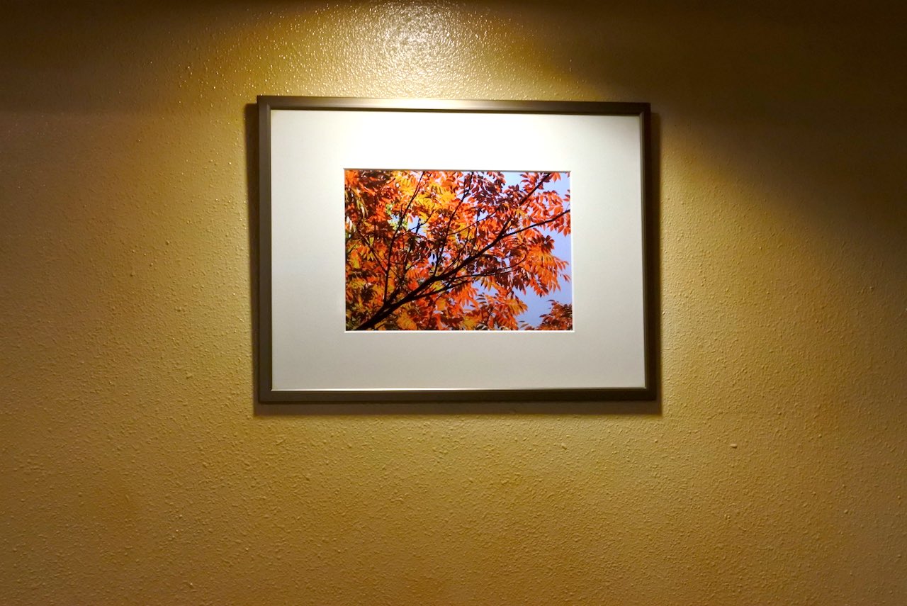 http://morning.tokyo-review.com/images/DSC_6693.jpg