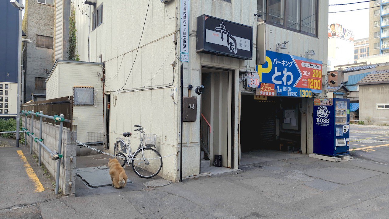 http://morning.tokyo-review.com/images/cameringo_20220829_071624.jpg
